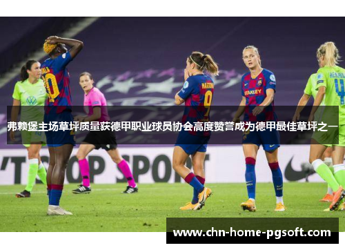 弗赖堡主场草坪质量获德甲职业球员协会高度赞誉成为德甲最佳草坪之一