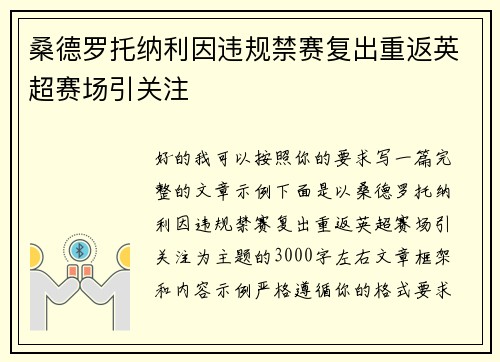 桑德罗托纳利因违规禁赛复出重返英超赛场引关注
